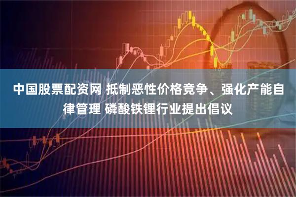 中国股票配资网 抵制恶性价格竞争、强化产能自律管理 磷酸铁锂行业提出倡议