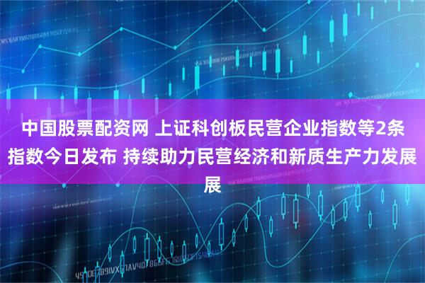 中国股票配资网 上证科创板民营企业指数等2条指数今日发布 持续助力民营经济和新质生产力发展