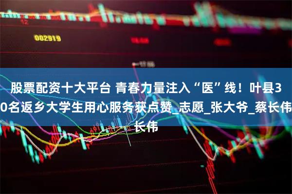 股票配资十大平台 青春力量注入“医”线！叶县30名返乡大学生用心服务获点赞_志愿_张大爷_蔡长伟