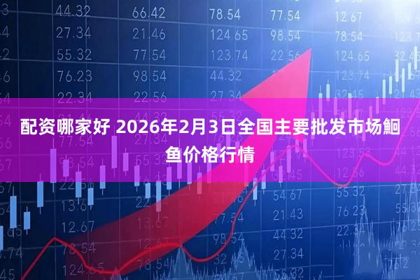 配资哪家好 2026年2月3日全国主要批发市场鮰鱼价格行情