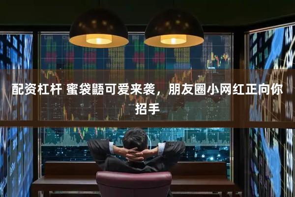 配资杠杆 蜜袋鼯可爱来袭，朋友圈小网红正向你招手